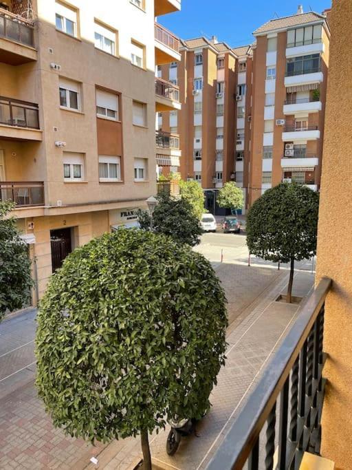 Apartamento Zoco Córdoba Eksteriør bilde
